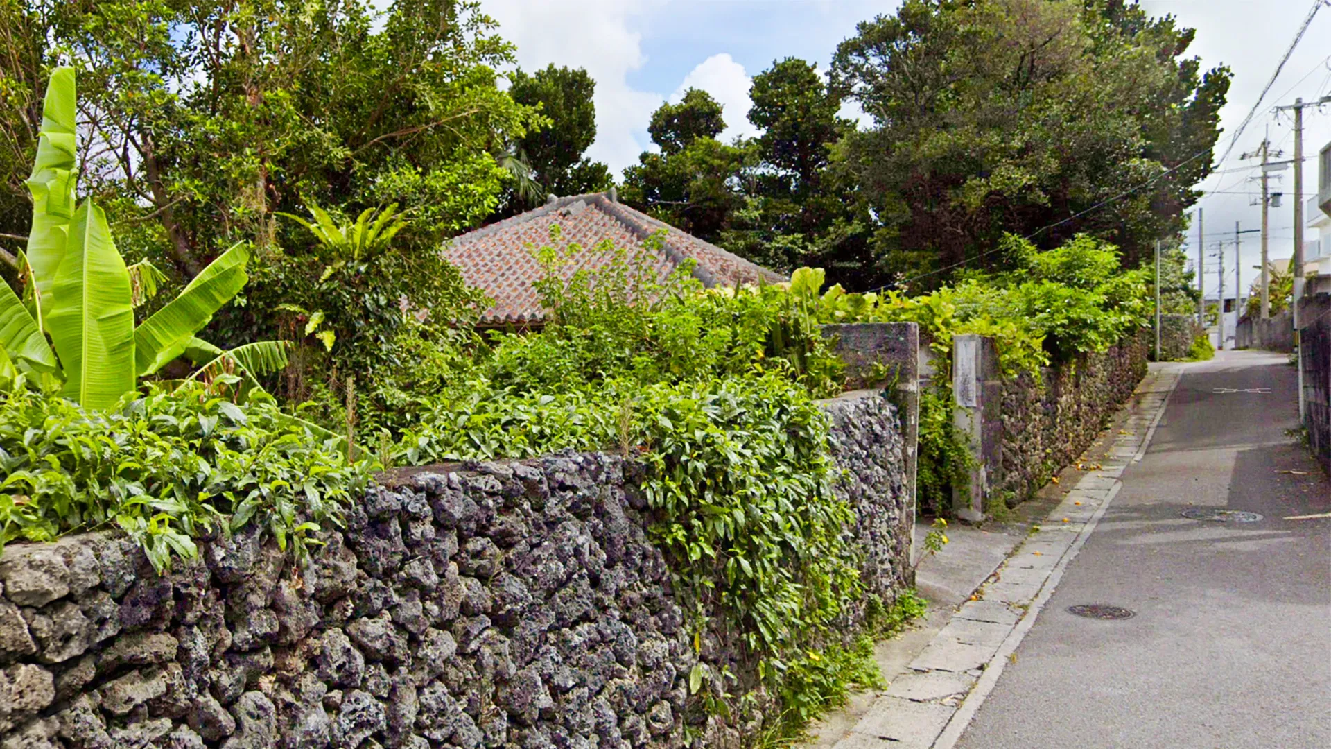 ⽯垣市⼤川フーガ―村 ヒンプン・フクギ