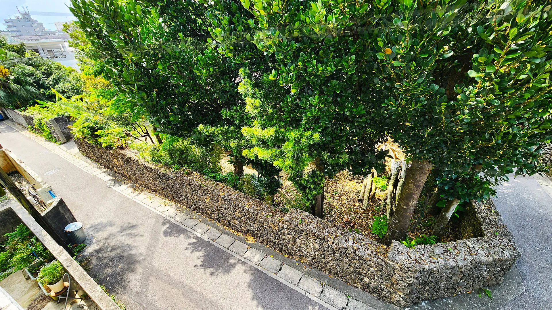 ⽯垣市⼤川まちなみ