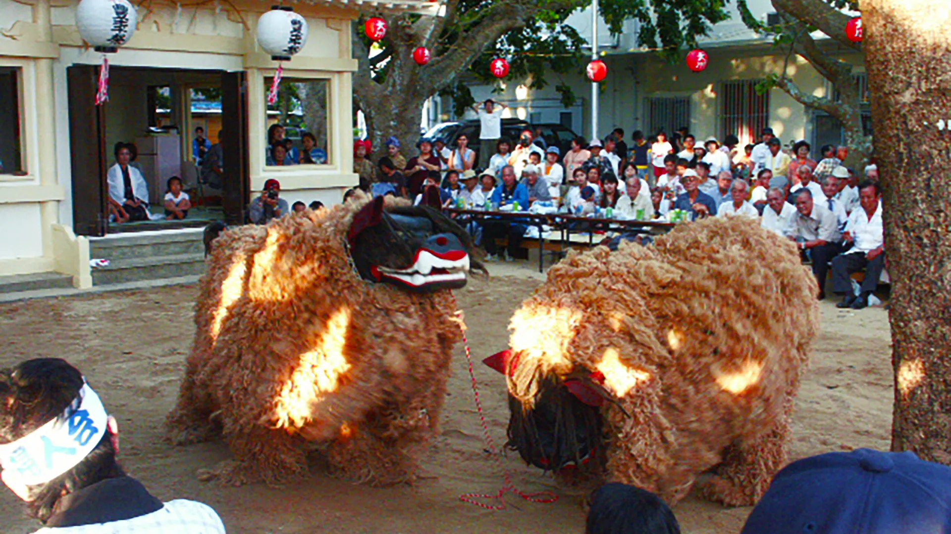 ⽯垣市⼤川フーガ―村 獅子舞